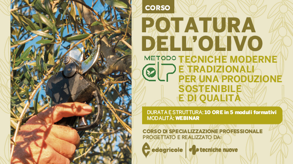 An image representing Corso: Potatura dell’olivo – Metodo COLP. Tecniche Moderne e Tradizionali per una produzione sostenibile e di qualità