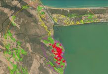 Xylella sul Gargano, il focolaio di Cagnano Varano verrà eradicato xylella gargano