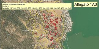Xylella fastidiosa subsp. pauca, a Cagnano Varano (Fg) ha già infettato 153 olivi cagnano varano