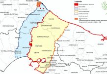 Bandi, da due Gal pugliesi interventi per i territori colpiti da Xylella fastidiosa bando gal xylella