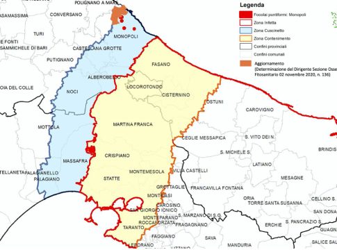 Bandi, da due Gal pugliesi interventi per i territori colpiti da Xylella fastidiosa bando gal xylella