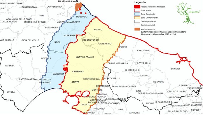 territorio pugliese colpito da xylella bando gal xylella