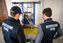 Olio “italiano” senza identità: 12 tonnellate sequestrate in Calabria sequestro olio calabria