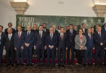 La “Carta di Córdoba” ridisegna la rotta globale dell’olivicoltura carta di cordoba