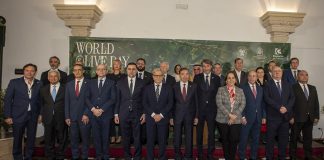 La “Carta di Córdoba” ridisegna la rotta globale dell’olivicoltura carta di cordoba