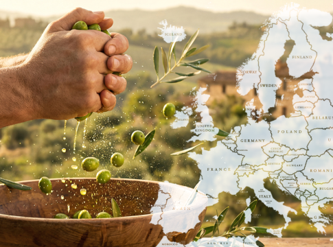 Olio a dazio zero, il conto lo pagano gli olivicoltori olio dazio zero