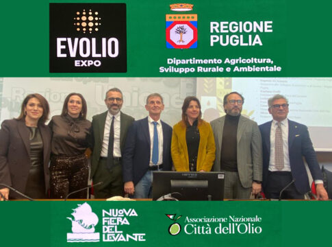 EVOLIO Expo 2026, a Bari la fiera B2B della filiera olivicola evolio expo 2026