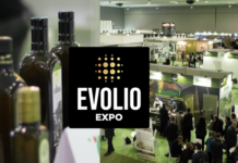 EVOLIO Expo 2026, Bari capitale dell’extravergine evolio expo 2026