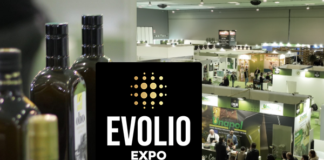 evolio expo 2026