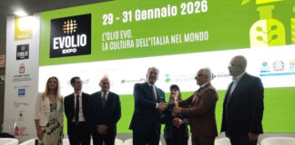 aifo a evolio 2026