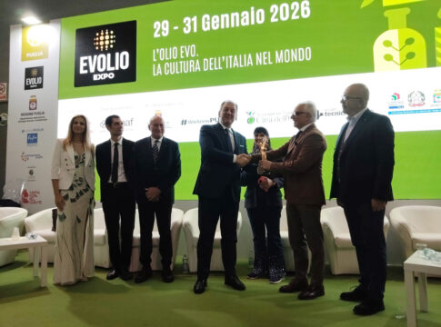 aifo a evolio 2026