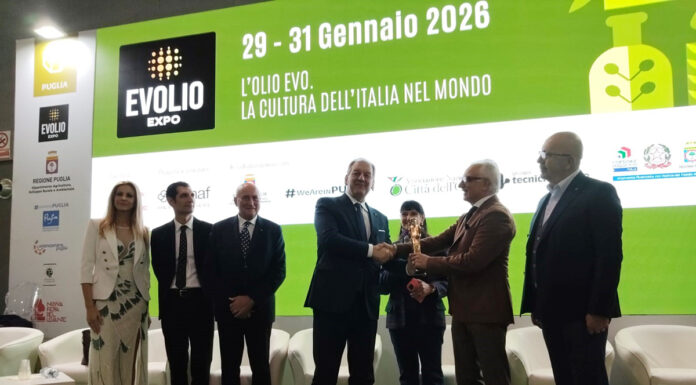 aifo a evolio 2026