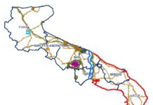 Xylella in Puglia: dalla catastrofe all’adattamento, una sfida ancora aperta xyella puglia