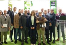 Il Mastro d’Oro 2026 incorona le Marche frantoio agostini