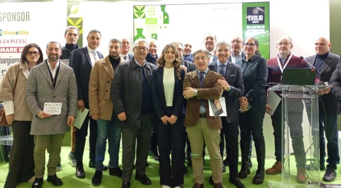 Il Mastro d’Oro 2026 incorona le Marche frantoio agostini