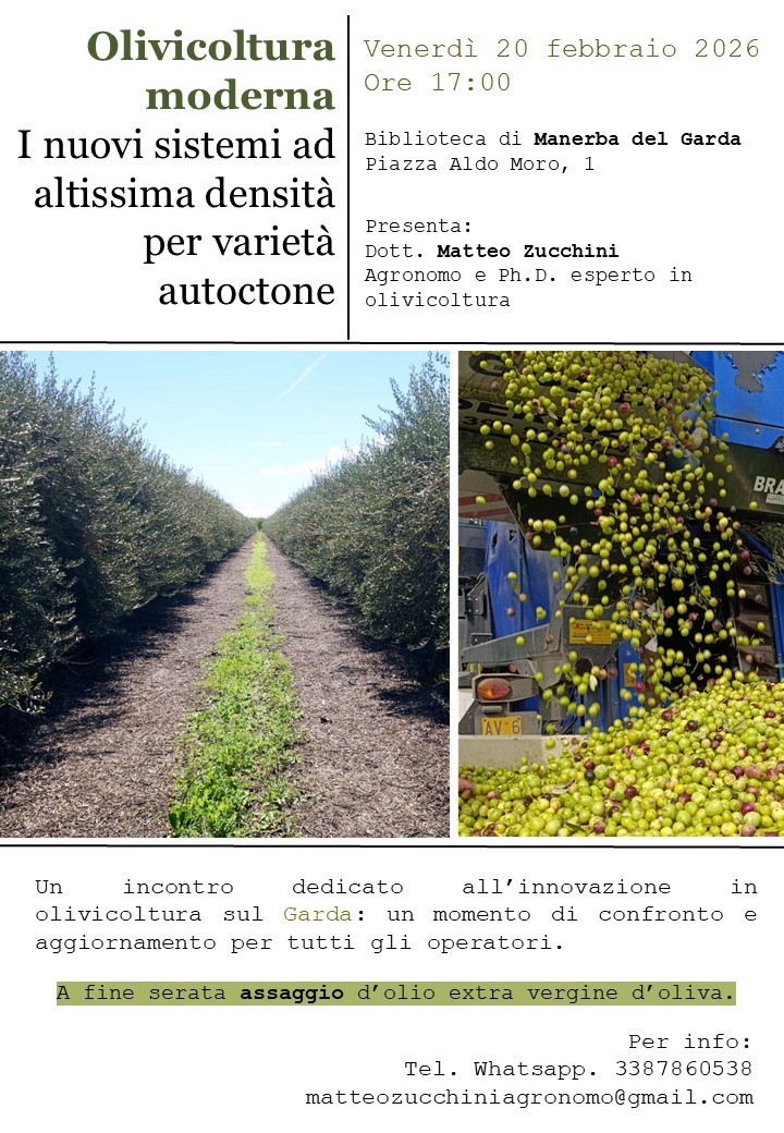 An image representing Olivicoltura moderna - I nuovi sistemi ad altissima densità per varietà autoctone