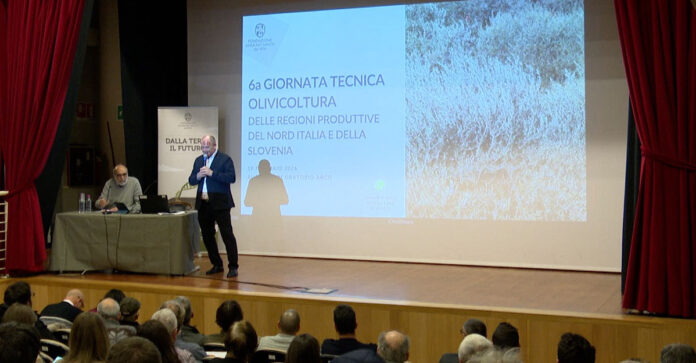 giornata tecnica olivicoltura mosca olearia
