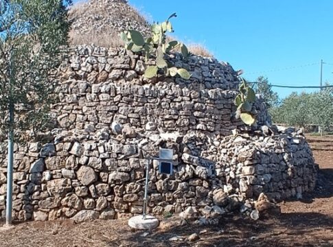 Trapscore, trappola automatica per il monitoraggio della mosca delle olive trapscore