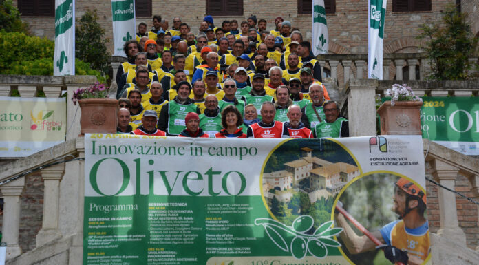 Forbici d’oro, 21 anni di potatura d’eccellenza forbici oro