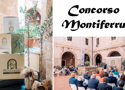 Concorso Montiferru, l’olio che diventa cultura concorso Montiferru