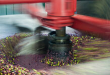 PNRR frantoi, apertura del Masaf, ora tutto dipende dalle Regioni frantoi pnr