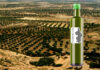 olio tunisia