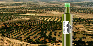 olio tunisia