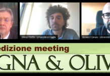 Innovazioni in olivicoltura, numerosi spunti da Vigna & Olivo 2026 olivicoltura