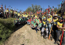 campionato potatura olivo