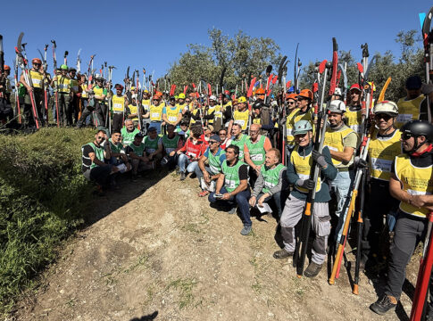 campionato potatura olivo