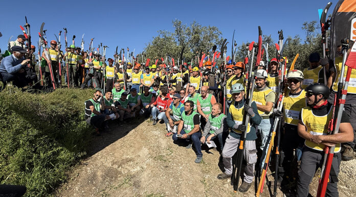 campionato potatura olivo