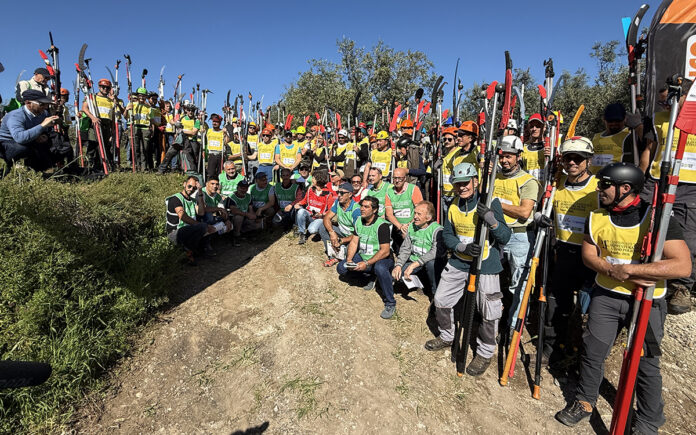 campionato potatura olivo