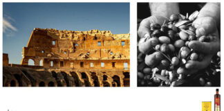 Festival dell’olio di Roma Igp, dal 10 al 21 aprile, tra cultura e gusto Festival Olio Roma IGP