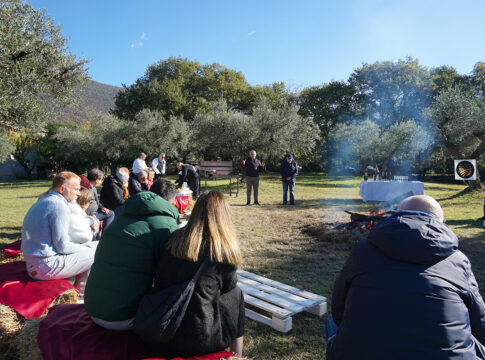 A Palombara Sabina, olio d’eccellenza e oleoturismo olio sabina