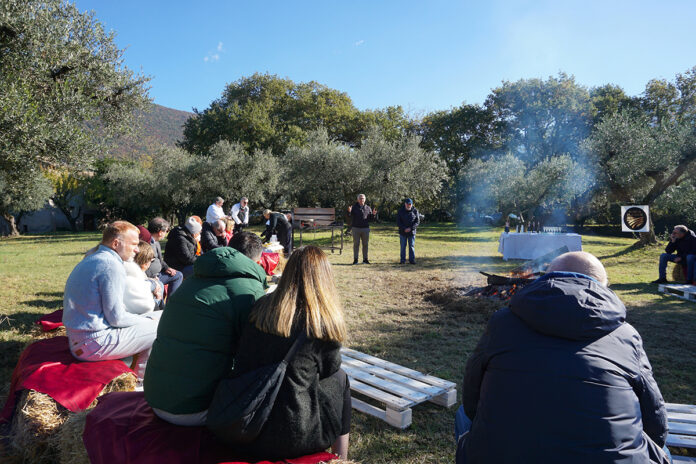 Oleoturismo presso Agricola Silvi Sabina Sapori olio sabina