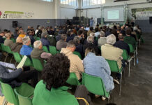 formazione olivicola