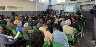 formazione olivicola