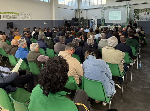 formazione olivicola