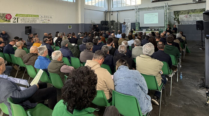 formazione olivicola
