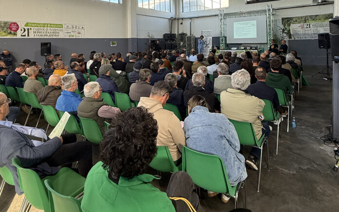 formazione olivicola