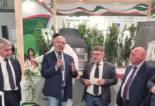 ercole olivario premi frantoi