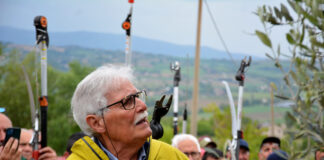 Giorgio Pannelli