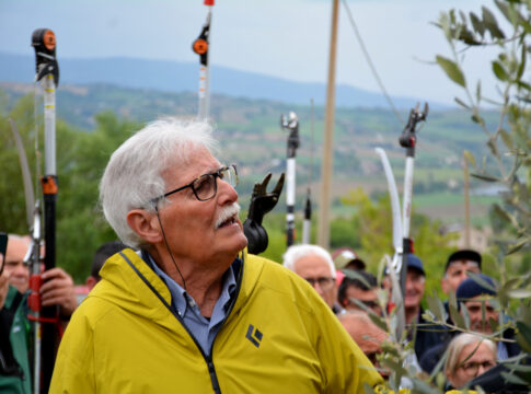 Giorgio Pannelli, il Maestro dell’olivo Giorgio Pannelli