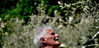 Un Maestro di Olivo e di Vita Giorgio Pannelli