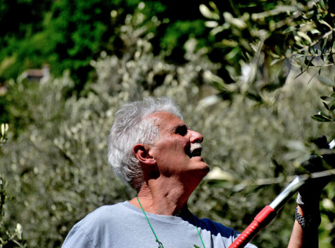 Un Maestro di Olivo e di Vita Giorgio Pannelli