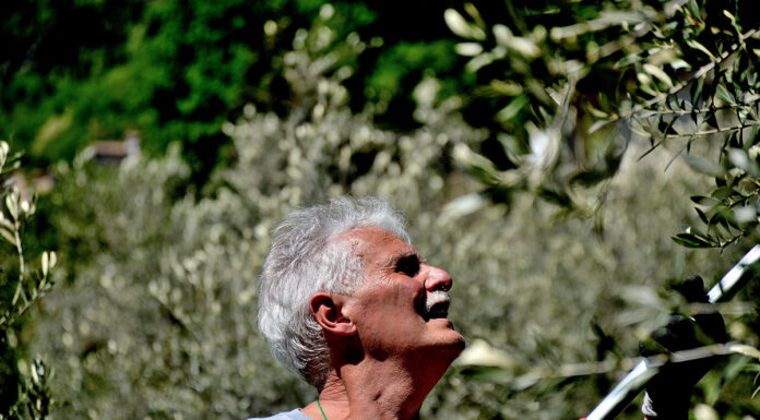Giorgio Pannelli