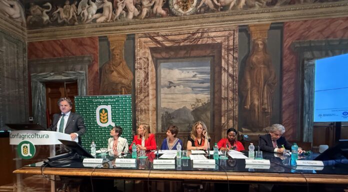 Premio Ranieri Filo della Torre 2026, l’olio evo tra cultura e futuro premio filo della torre