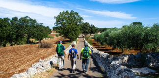 oleoturismo italia
