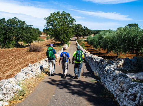 oleoturismo italia