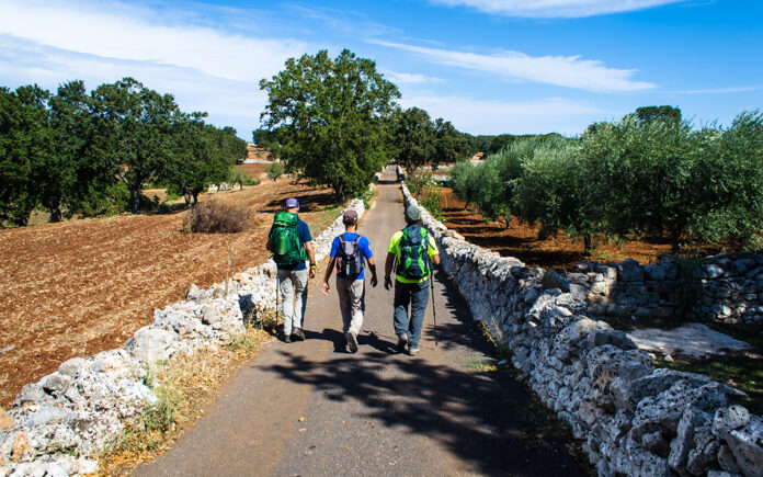 oleoturismo italia